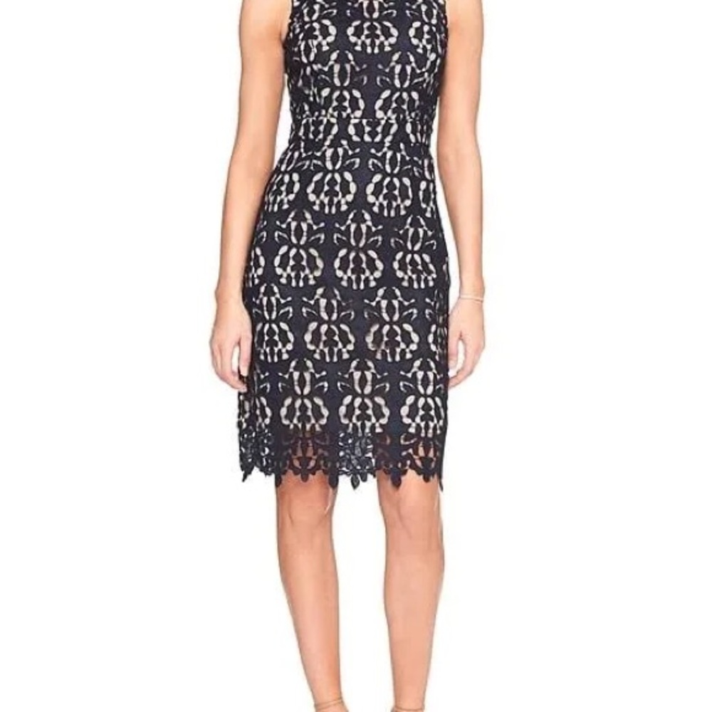 Banana Republic Cream and Blue Sheath Midi Dress